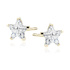 4 mm x 4 mm